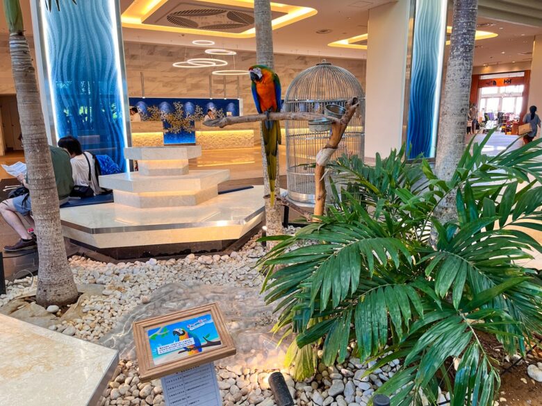 ルネッサンス リゾート オキナワ ロビーのインコ