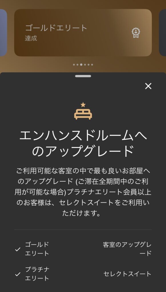 ザ・リッツ・カールトン沖縄 料金明細