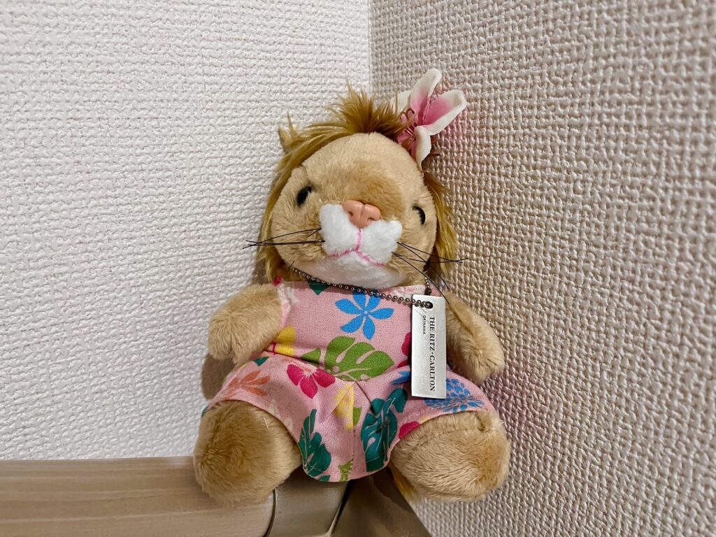 ザ・リッツ・カールトン沖縄 スパ棟ジム